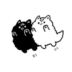 two black and white cats with faces drawn on them