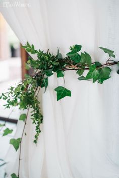 the greenery is growing on the curtain