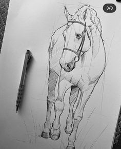 a drawing of a horse on paper next to a pen