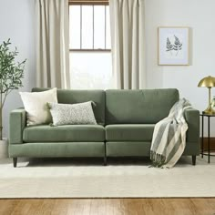 a living room scene with focus on the sofa and pillows, along with a rug