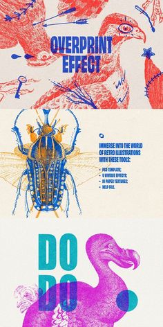 a poster with an image of a bug and some birds