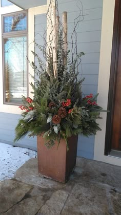 a potted plant sitting on top of a stone floor in front of a house