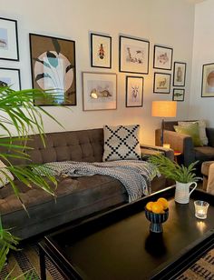 a living room filled with furniture and lots of framed pictures on the wall above it