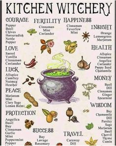 Uhyggelig Halloween, Witch Herbs, Green Witchcraft, Magic Herbs, Magical Herbs, Witchcraft Spell Books