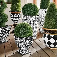 four black and white vases with topiary balls in them on a wooden table