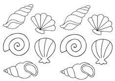 seashells and sea shells are drawn in black ink on a white paper background