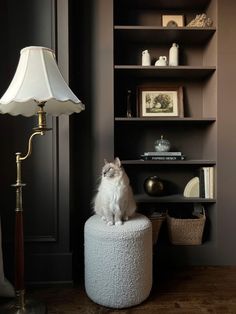 a cat sitting on top of a white stool in front of a book shelf and lamp