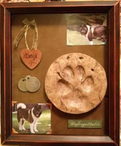 a dog's paw and other items are displayed in a shadow box