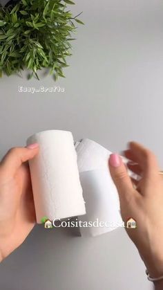 someone is holding two rolls of toilet paper