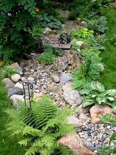 a garden filled with lots of green plants and rocks next to a lush green forest