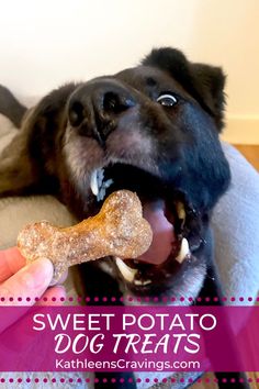 a black dog is laying down with a bone in its mouth and the words sweet potato dog treats above it