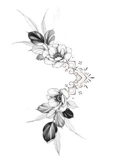 a drawing of flowers on a white background