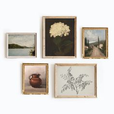 four paintings are hanging on the wall with one white flower in it's center