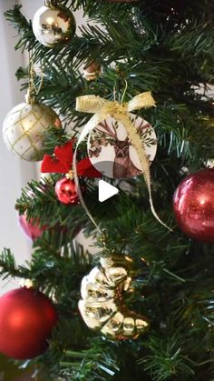 a christmas tree with ornaments hanging from it