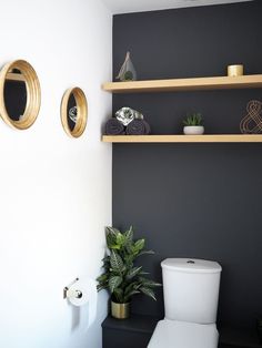 a white toilet sitting in a bathroom next to a wall mounted shelf filled with potted plants