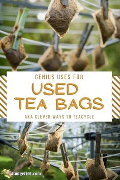 tea bags hanging from clothes line with text overlay that reads genius uses for used tea bags aka clever ways to recycle