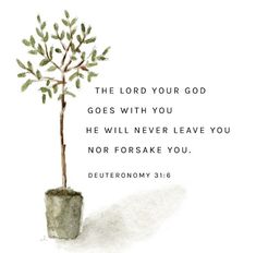 a watercolor painting of a small tree in a pot with the words, the lord your god goes with you he will never leave you nor forsake you