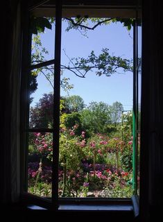 an open window looking out onto a garden with pink flowers and trees in the background