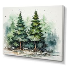 watercolor painting of three pine trees on white background