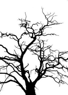 the silhouette of a tree with no leaves