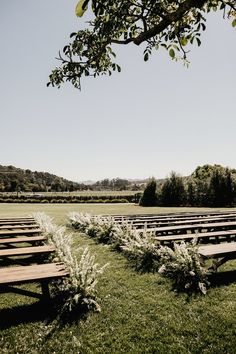 rows of wooden benches sitting on top of a lush green field