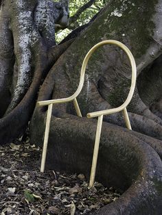 an odd shaped wooden object sitting in the middle of a tree trunk with roots around it