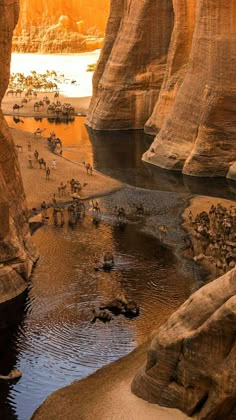 some people are standing in the water near large rocks and sand cliffs, while others walk around them