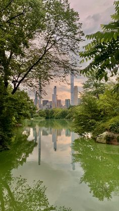 a body of water surrounded by trees and tall buildings in the background with green foliage on either side