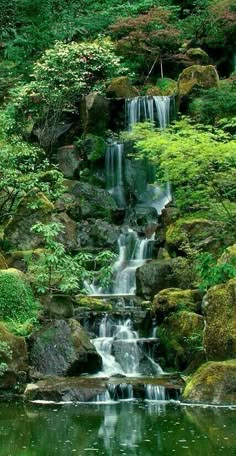 a small waterfall in the middle of a lush green forest