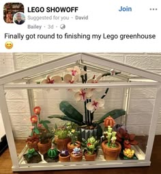 a display case filled with lots of fake plants and potted flowers on top of a wooden table