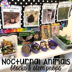 Bear Dramatic Play Preschool, Forest Animals Dramatic Play, Arctic Animal Dramatic Play, Pre K Hibernation Activities, Winter Dramatic Play Ideas, Animals That Hibernate Preschool, Hibernation Preschool Theme, Hibernation Preschool Activities