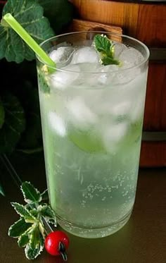 a tall glass filled with ice and garnish next to a green leafy plant