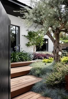 an outdoor garden with wooden steps and plants in the foreground, next to a large tree