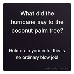 Hold on to your nuts Funny One Liners, Corny Jokes, Humor Inappropriate, Jokes And Riddles, Funny Jokes For Adults, Belly Laughs, Twisted Humor, One Liner, Laughing So Hard