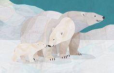 an adult polar bear and her two cubs