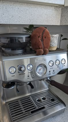 a stuffed animal sitting on top of an espresso machine