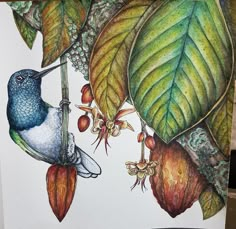 a drawing of a bird on a branch with leaves and flowers