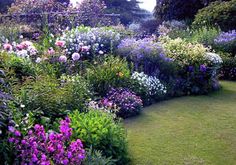 a garden filled with lots of different types of flowers