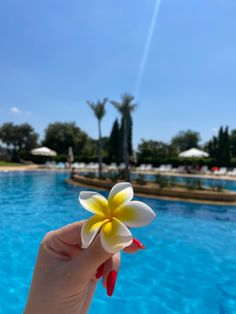 a person holding up a flower in front of a swimming pool with blue water and palm trees