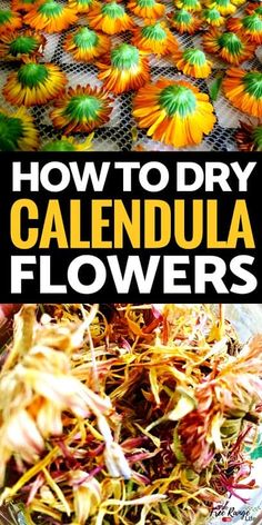 how to dry calendula flowers in the sun or on the ground with text overlay that reads, how to dry calentula flowers