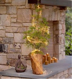 a potted pine tree sitting on top of a table next to candles and a buddha statue