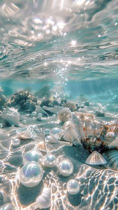 an ocean scene with shells and bubbles in the water, as seen from underwater view