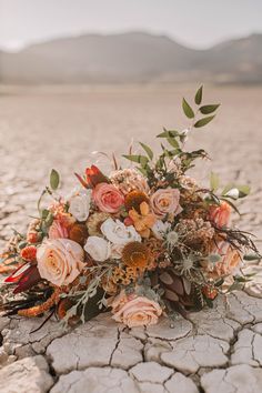 a bouquet of flowers sitting on top of a dry ground with mountains in the background