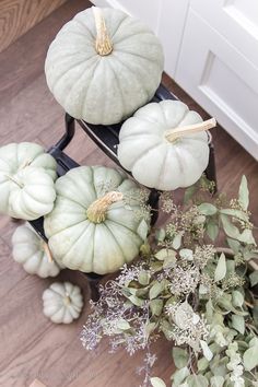 three white pumpkins sitting on top of a black stand next to some greenery