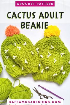 the crochet pattern for cactus adult beanie is shown