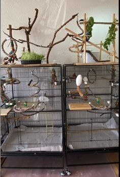 two cages with birds in them sitting on top of each other