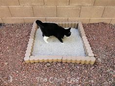 a black and white cat standing on top of a dog bed in front of a brick wall