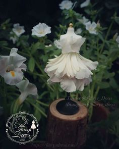 white flowers are growing out of a wooden stump in the middle of some green leaves