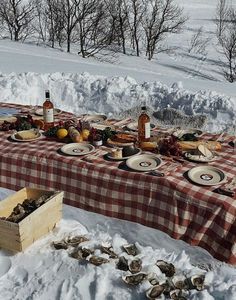 a table covered in snow with plates and wine bottles on it, next to an empty box full of oysters