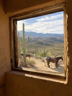 two horses are standing in front of a window with a view of the desert and mountains